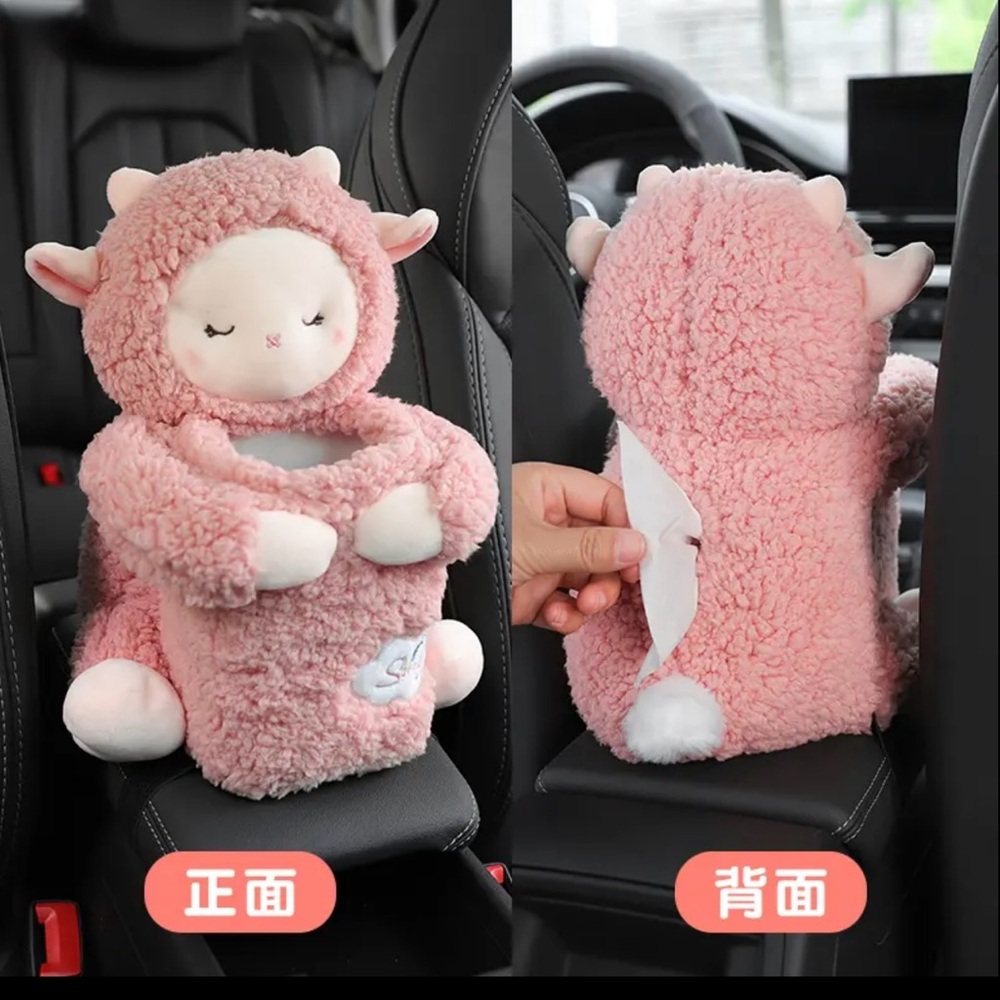 Car decorations almost new